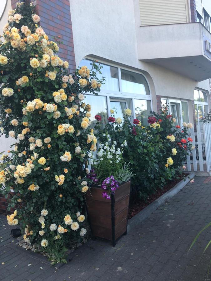 Rezydencja Lux Rewa Exterior foto